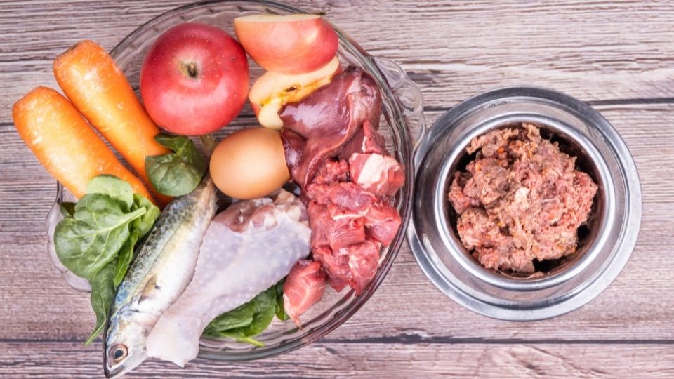 Comida casera cocinada: la mejor forma de alimentar a tu perro - El Blog de  Uma